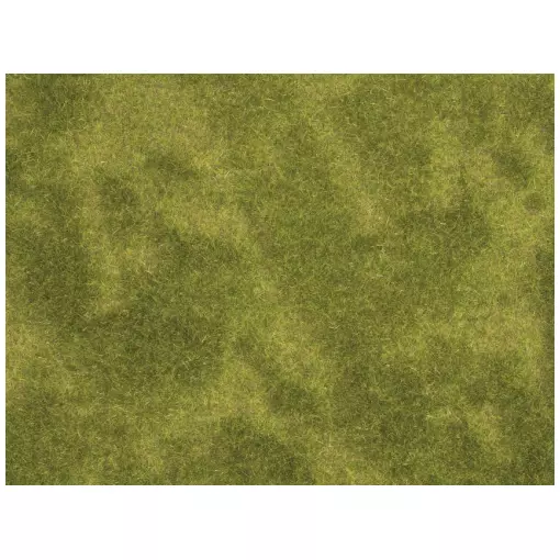 lot de 2 Tapis "prairie inondable" Natur+ NOCH 07471 - HO 1/87 - 250 x 250 mm