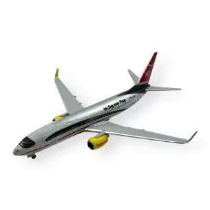 Boeing 737-800 Deutsche Bahn - Ice