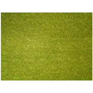 Tapis 45 X 30 cm - Noch 00005