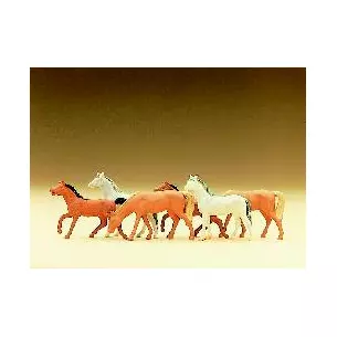 Cavalli