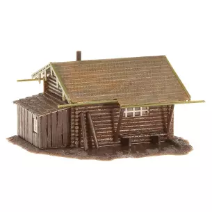 Forest hut