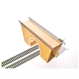 Puente túnel de doble vía