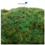 Fibres herbe d'automne - WWScenics WSG4-026 - 4 mm - 500 mL