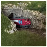 RO7510013