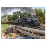 Locomotive à vapeur type Shay, N°5, Western Maryland, USA - Märklin 38700 - HO 1/87 - Ep II - Digital sound fumigène - 3R
