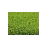 Turf carpet, spring style, NOCH 00010, HO 1/87th