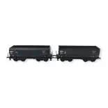 Set 2 wagons tombereaux DMH LS Models 31108 - HO : 1/87