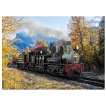 Locomotive vapeur Shay Nr. 7 - LGB 26701 - RC & BT RR - G 1/22.5 - EP. VI - Digital Sound fumigène - 2R