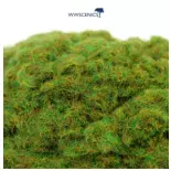 Fibres herbe d'automne - WWScenics WSG2-027 - 2 mm - 1000 mL