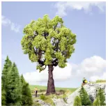 Grote eikenboom - NOCH 21761 - HO / O - hoogte 190 mm