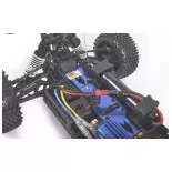 Buggy électrique - Pirate Shooter Brushed RTR - T2M T4931OR - 1/10