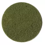 Sable Décoratif - Vert - HEKI 3324 - Échelle Universelle - 250 g