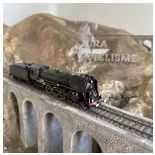 Locomotive à vapeur 141.R.1244 - Trix 25141 - HO 1/87 - SNCF - Ep VI - Digital sound fumigène - 2R
