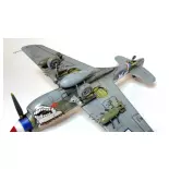 Avion P-40N Warhawk Royal Class Dual Combo - Eduard Plastic Kits 0025 - 1/48