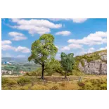 2 alberi - Cesoia in legno di carpino e acero 181800 - HO - N - TT - 75 e 145 mm