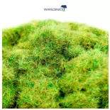 Fibre herbe de printemps - WWScenics WSG4-009 - 4 mm - 1000 mL