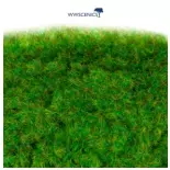 Fibres herbe d'été - WWScenics WSG2-017 - 2 mm - 500 mL
