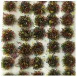 Lot von 100 blühenden Kräuterbüscheln