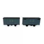 Set van 2 gesloten wagens - Ree Models VM-028 - HO/HOe 1/87 - CFD - 2R