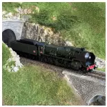 Dampflokomotive 150 P 13 Tender 34 P 405 - Digitale - R37 HO41207D - SNCF