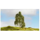 Silver birch - Noch 20120 - HO 1/87