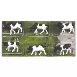 6 Vaches - Kato K24-220 - N 1/160