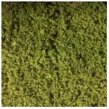 Flocage - Vert moyen - HEKI 1601 - Échelle Universelle - 280x140 mm