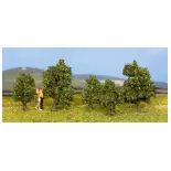 5 green shrubs 3 to 4 cm high - NOCH 25410 - HO TT