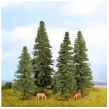 Pack of 4 Noch 25432 fir trees - HO, TT, N and Z - Height 40 to 80 mm