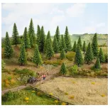 Pack of 50 Noch 26826 fir trees - HO 1/87 TT 1/120 - Height 50 to 140 mm