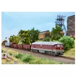 Locomotive diesel série 232 - Minitrix T16235 - DB AG - N 1/160 - EP. V - Digital Sound - 2R