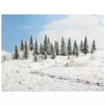 Set van 10 besneeuwde dennenbomen (5 tot 14 cm)