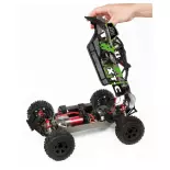 Racing Buggy - Pirate XT-C Brushless Vert à propulsion électrique - T2M T4972BG - 1/10