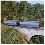 Lote de 2 vagones de mineral "Denain-Anzin" - LS Models 31102 - HO: 1/87 - SNCF - EP III -