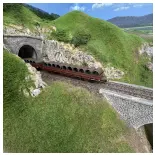 Coffret de 2 wagons ranchers pivotants - Roco 6600119 - SNCF - EP. IV