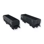 Set 2 wagons tombereaux DMH LS Models 31108 - HO : 1/87