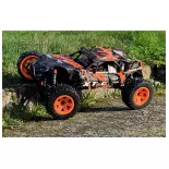 Buggy électrique - Pirate XT-C RTR - T2M T4972 - 1/10 - 2.4 Ghz 