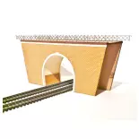 Puente túnel de doble vía