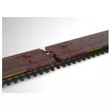 TR24428