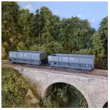 Set van 2 "Sidelor" goederenwagons - Ls Models 31101 - HO 1/87 - SNCF - EP III