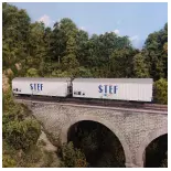 Set of 2 STEF refrigerated wagons - Ls Models 30235 - HO 1/87 - SNCF - EP III