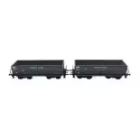 Set of 2 "Denain-Anzin" ore wagons - LS Models 31102 - HO: 1/87 - SNCF - EP III -