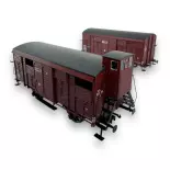 Set of 2 PLM 20T REE Covered wagons Models WB696 - HO 1/87 - SNCF - EP II