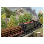Locomotive à vapeur type Shay, N°5, Western Maryland, USA - Märklin 38700 - HO 1/87 - Ep II - Digital sound fumigène - 3R