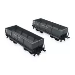 Set of 2 "Denain-Anzin" ore wagons - LS Models 31102 - HO: 1/87 - SNCF - EP III -