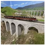 Coffret de 2 wagons ranchers pivotants - Roco 6600119 - SNCF - EP. IV