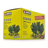 Pack de 5 arbres fruitiers Noch 25610 - HO | TT | N | Z - hauteur 80 mm