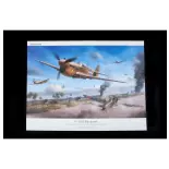 Avion P-40N Warhawk Royal Class Dual Combo - Eduard Plastic Kits 0025 - 1/48