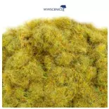 Fibres herbe morte - WWScenics WSG2-053 - 2mm - 500ml