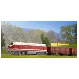 Treno di merci BR 119 della Deutsche Reichsbahn - Piko 57138 - HO 1/87°